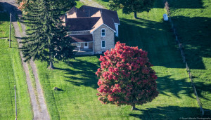 Septic System Foreclosed Home